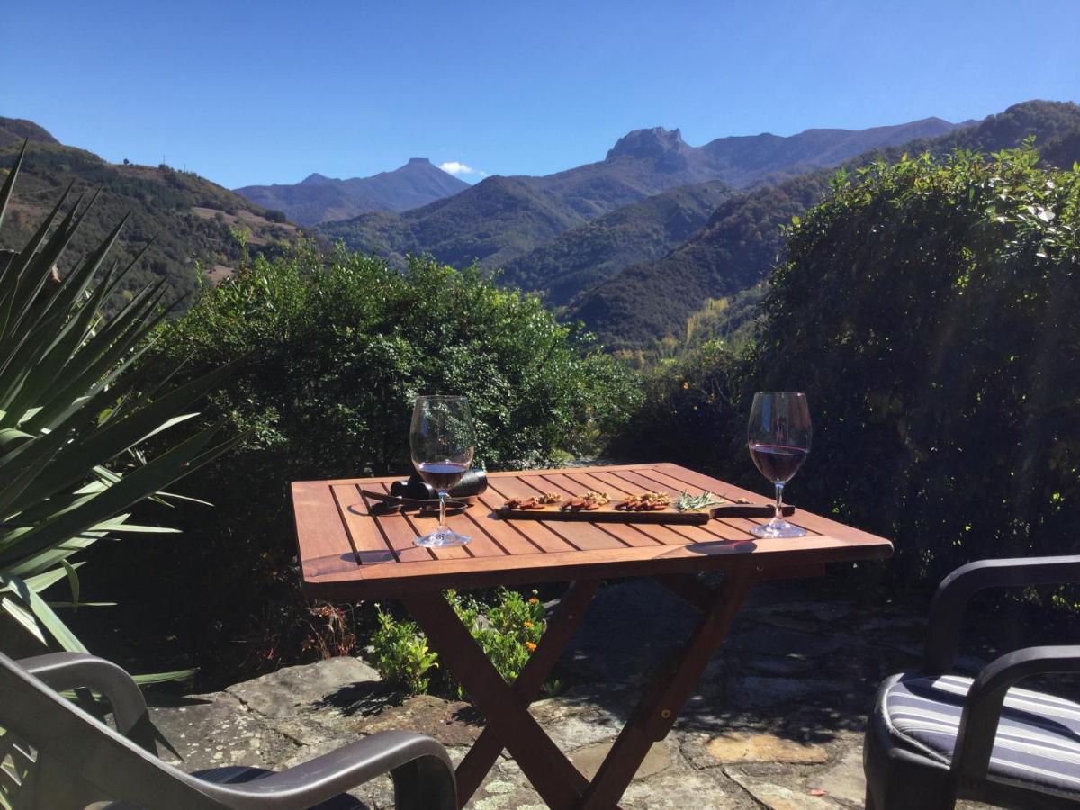 Olmares Terrace Apartment - Picos De Europa Lomena Bagian luar foto