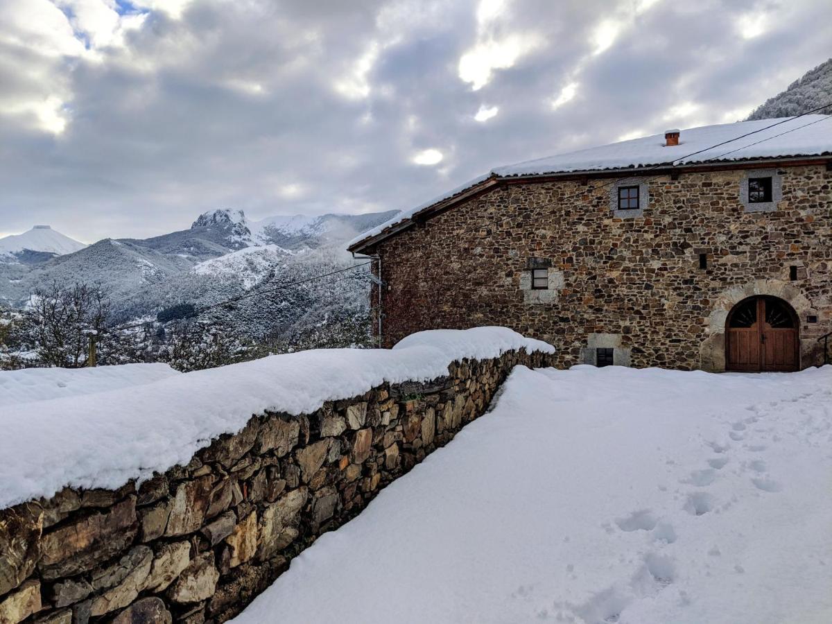 Olmares Terrace Apartment - Picos De Europa Lomena Bagian luar foto